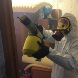 Уничтожение клопов в квартире. Туран